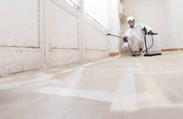 Post-remediation clearance in Thorofare